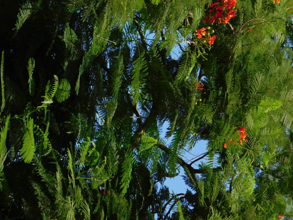 stillness and the movement السكون والحركه